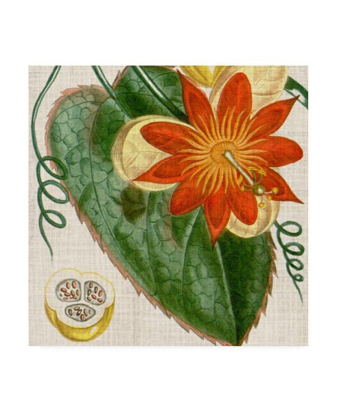 Vision Studio Cropped Turpin Tropicals I Canvas Art - 20" x 25"
