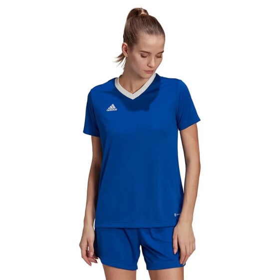 ADIDAS Entrada 22 short sleeve T-shirt