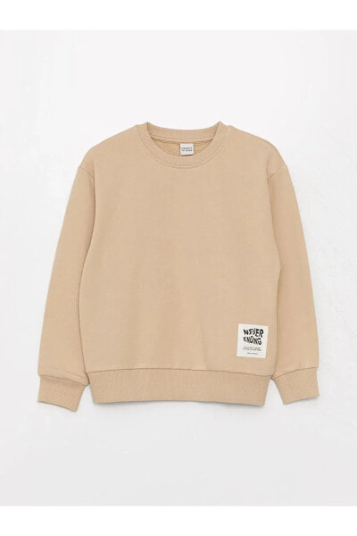 LCW Kids Bisiklet Yaka Rahat Kalıp Basic Erkek Çocuk Sweatshirt