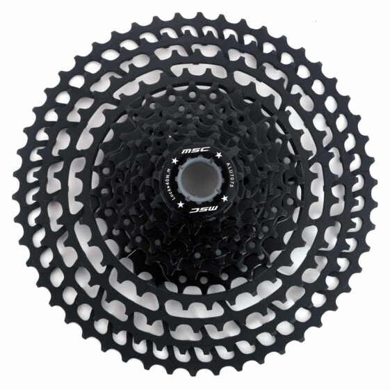 MSC 2 Spider Light cassette