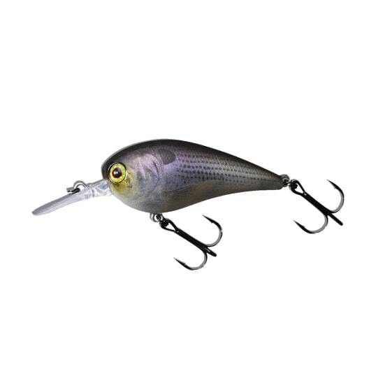 Jackall MC 60 MR Crankbaits (JMC60MR-RTSSH) Fishing