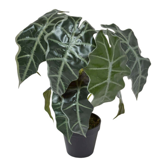 Künstliche Alocasia Pflanze im Topf