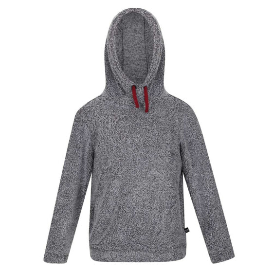 REGATTA Keyon Hoodie