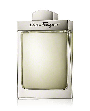 Salvatore Ferragamo Pour Homme Eau de Toilette Spray (100 ml)