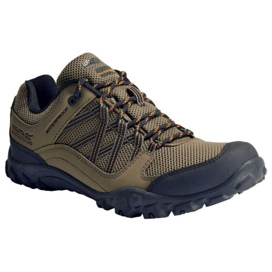 REGATTA Edgepoint III hiking shoes