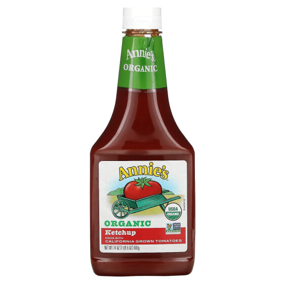 Organic Ketchup, 24 oz (680 g)