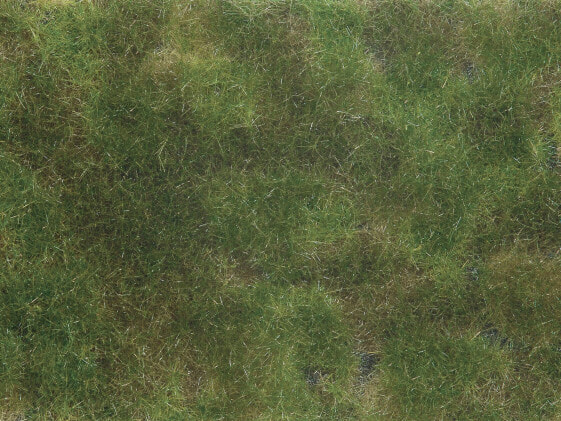 NOCH Groundcover Foliage olive green - H0 (1:87)/TT (1:120) - Green