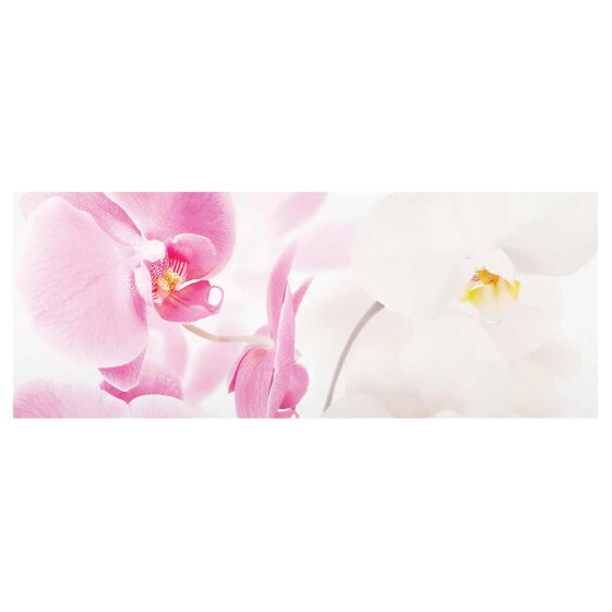 Glasbild Delicate Orchids