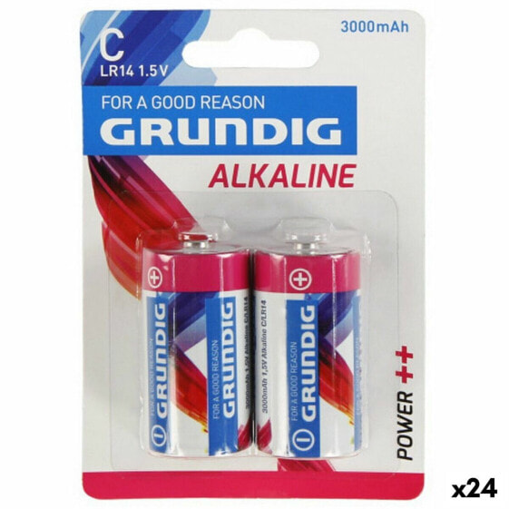 Rechargeable Batteries Grundig Type C (24 Units)