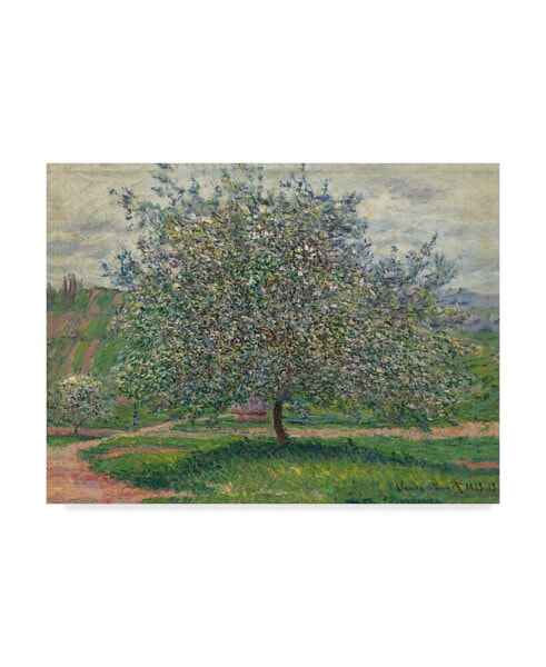 Claude Monet Le Pommier, 1879 Canvas Art - 20" x 25"