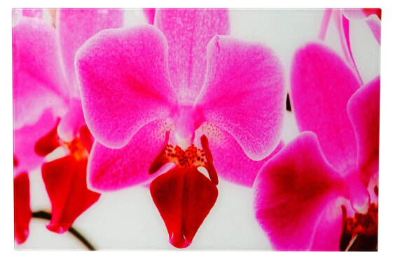 Glasbild T116 40x60cm Orchide