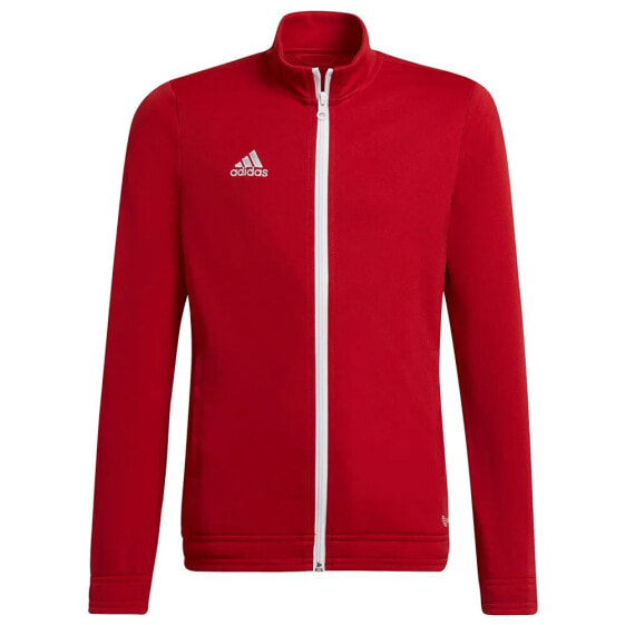 ADIDAS Entrada 22 Jacket