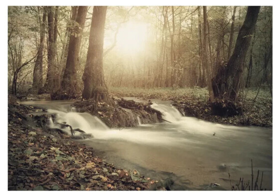 Fototapete Forest Cascade