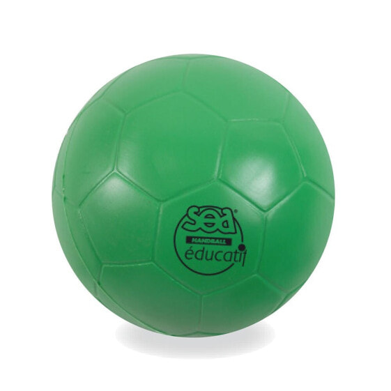 Мяч волейбольный SEA Educational Ø15 см, голубой