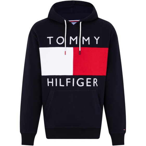 Tommy Hilfiger Logo 08678J1753410 Hoodie