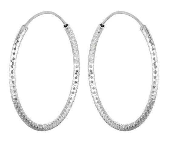 Silver earrings circles SVLE0204XD500