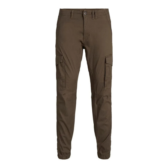 JACK & JONES Paul Flake cargo pants