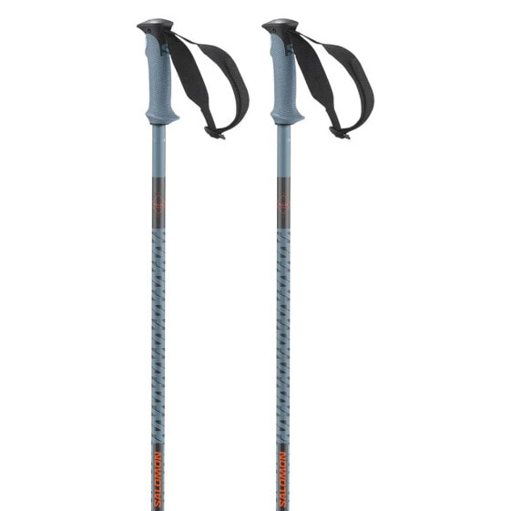 SALOMON Polar Pro poles