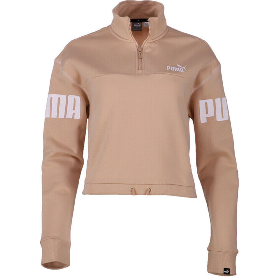 Толстовка PUMA Power HalfZip Brown