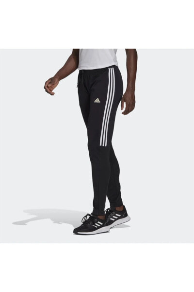 Брюки спортивные Adidas W Sereno Pt Kadın