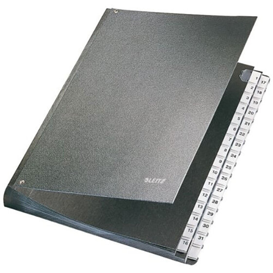 LEITZ Index Organizer 1-31 Document Holder