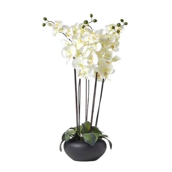 Искусственные цветы Homescapes Orchidee Gesteck creme mit schwarzem Keramiktopf