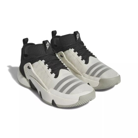 Мужские кроссовки Adidas Trae Unlimited M IF5609