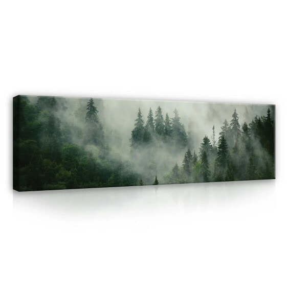 Картина на холсте Wallarena Лес в тумане панорама