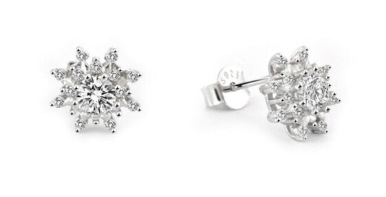 Fitting silver earrings Snowflake AGUP2749