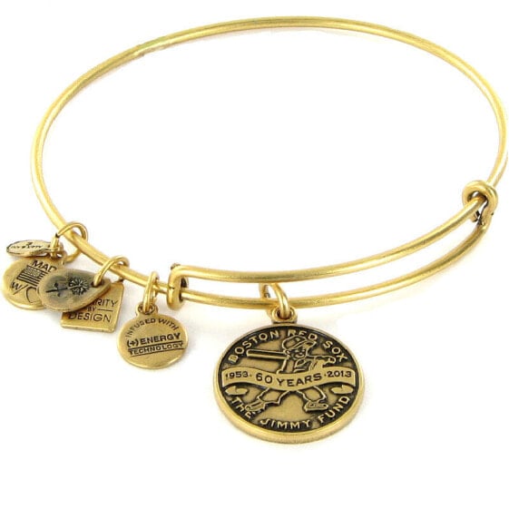 Alex and Ani Jimmy Fund Boston Red Sox Gold Expandable Wire Bangle Bracelet