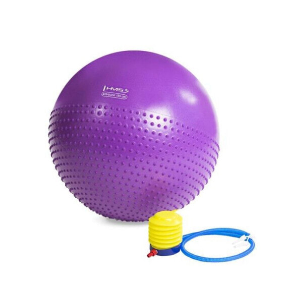 Мяч Fitness Ball 55cm