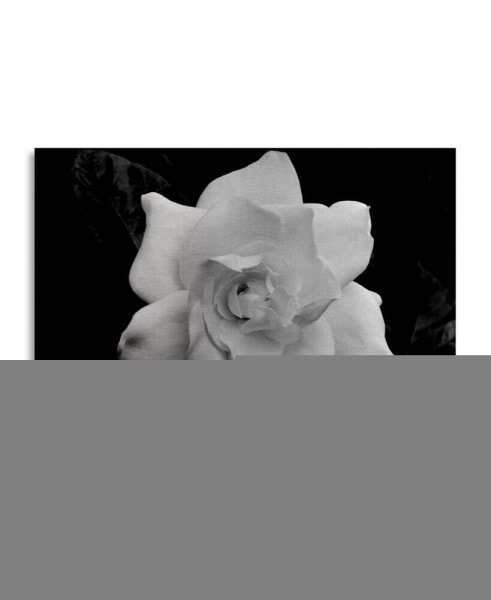 Kurt Shaffer Gardenia in Black and White Floating Brushed Aluminum Art - 22" x 25"