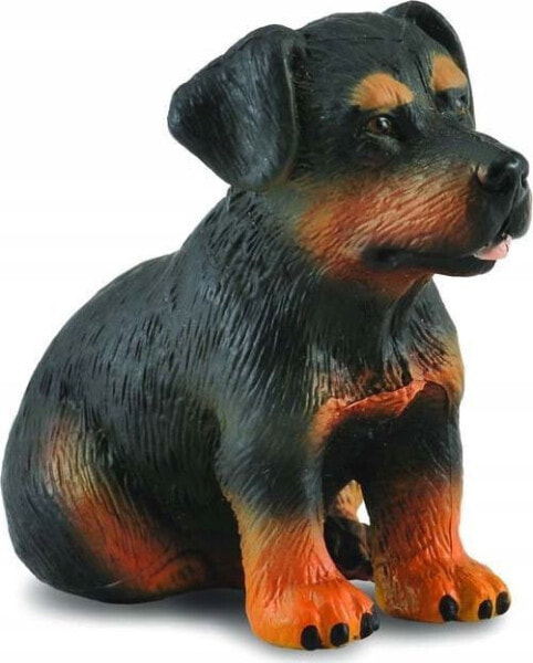 Фигурка Collecta ROTTWEILER SZCZENIAK Figurines (Фигурки)