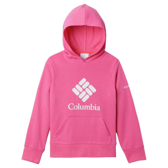 COLUMBIA Trek™ French Terry Hoodie hoodie