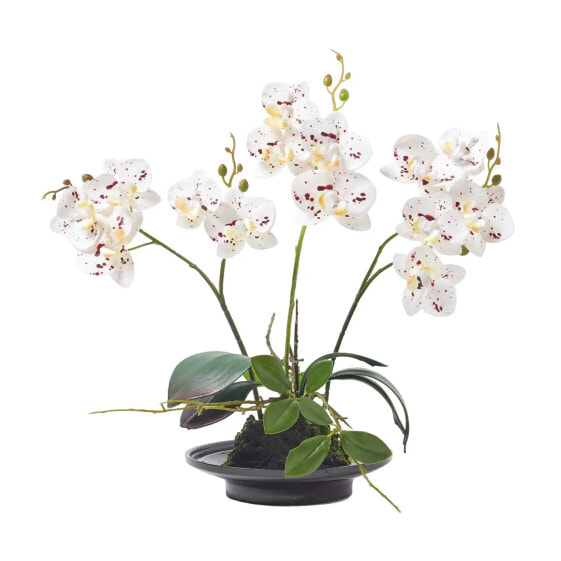 Искусственные цветы Homescapes Phalaenopsis-Orchidee 38 см белые