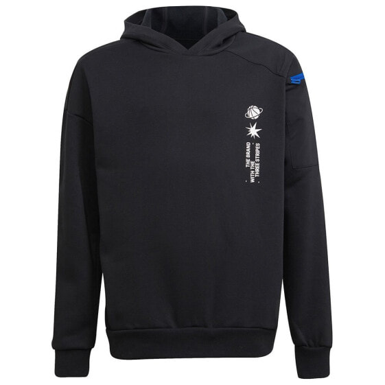 ADIDAS Arkd3 WR hoodie