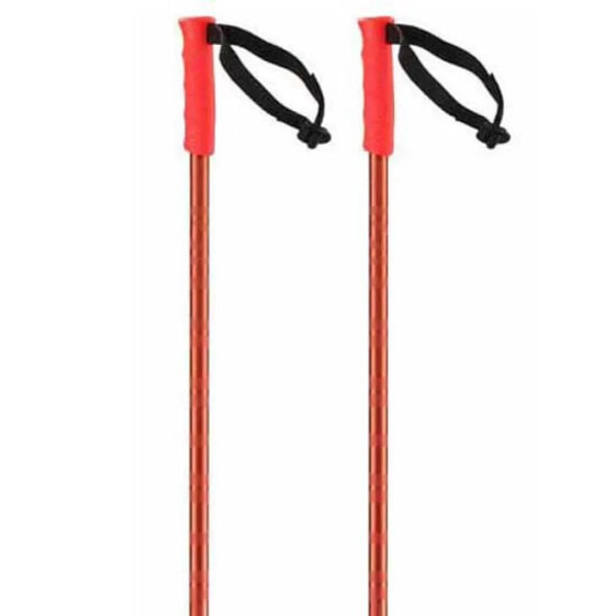 SALOMON Hacker Poles