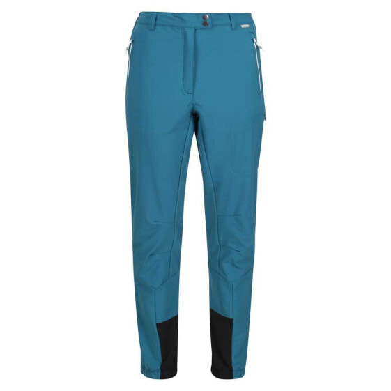 REGATTA Mountain Pants