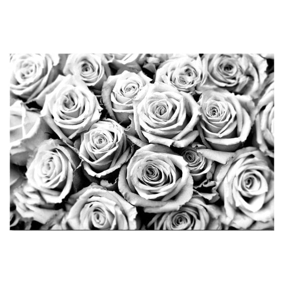 Bild Creamy Roses
