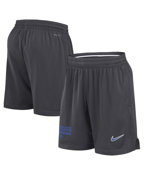 Men's Anthracite Kentucky Wildcats 2024 Sideline Mesh Shorts