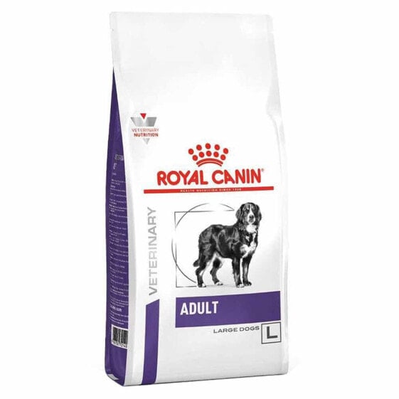 ROYAL CANIN Adult Largedry 13kg Dog Food