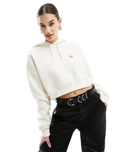 Dickies oakport cropped hoodie in ecru