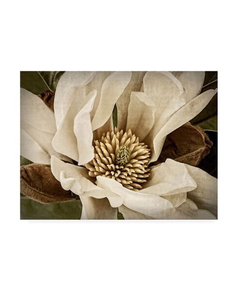 Rachel Perry Classic Magnolia II Canvas Art - 37" x 49"