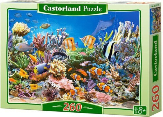 Castorland Puzzle Rafa Koralowa 260 elementów (27279)