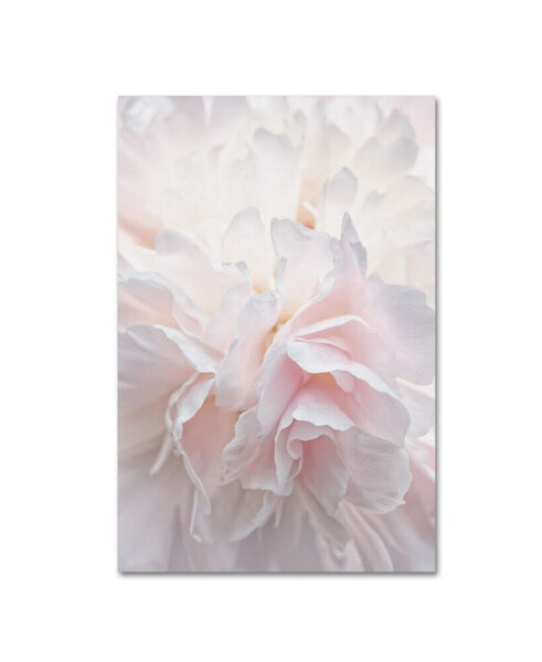 Cora Niele 'Pink Peony Petals IV' Canvas Art - 19" x 12" x 2"