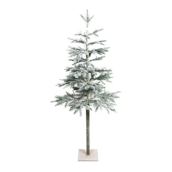 Weihnachtsbaum Gustaf