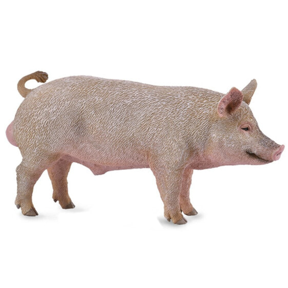 COLLECTA Male M Pig Figure