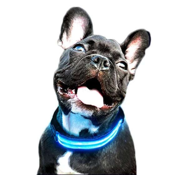 FREEDOG LED Collar