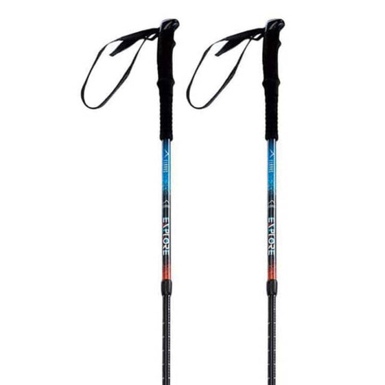 ELBRUS Pokara Poles