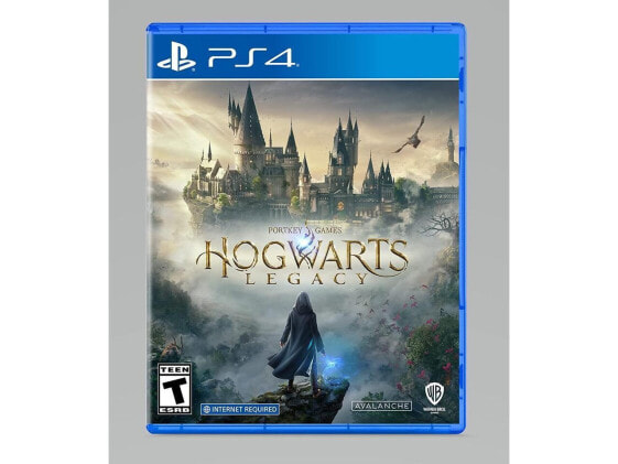 Hogwarts Legacy - PlayStation 4